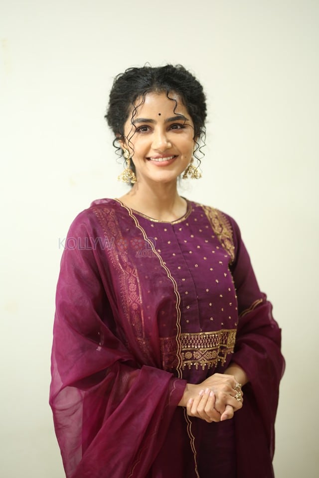 Actress Anupama Parameswaran at Paradha Press Meet Pictures 32