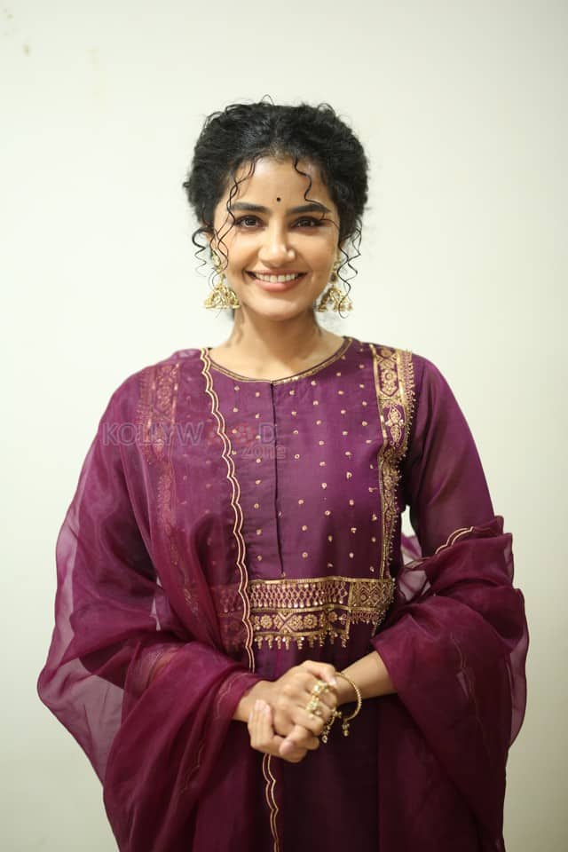 Actress Anupama Parameswaran at Paradha Press Meet Pictures 33