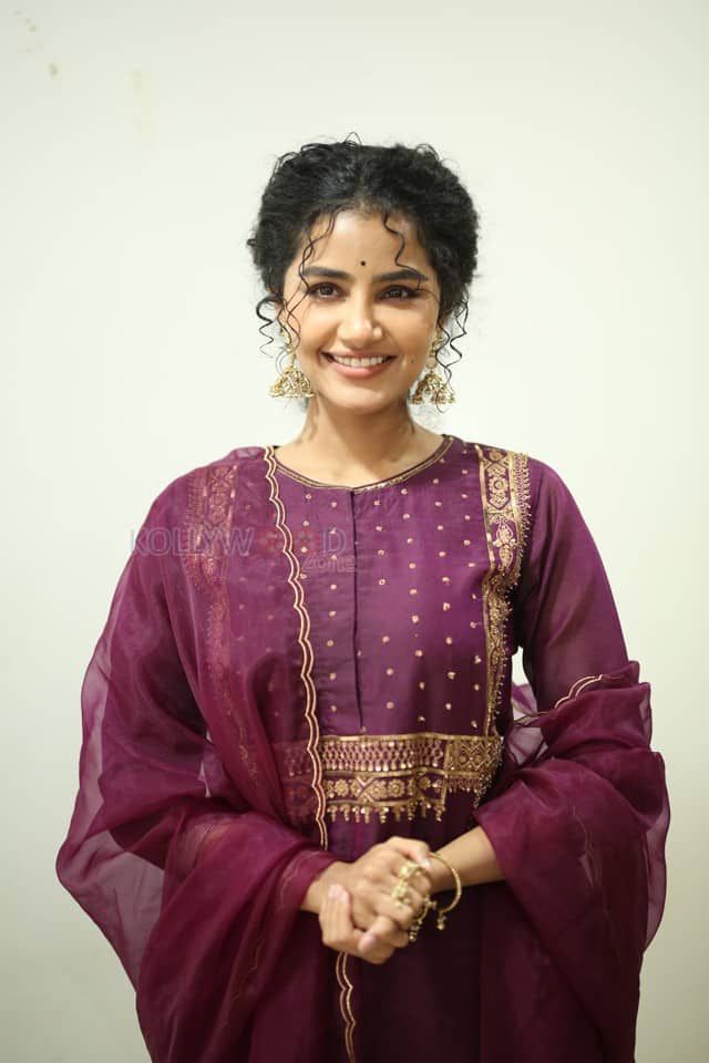 Actress Anupama Parameswaran at Paradha Press Meet Pictures 34