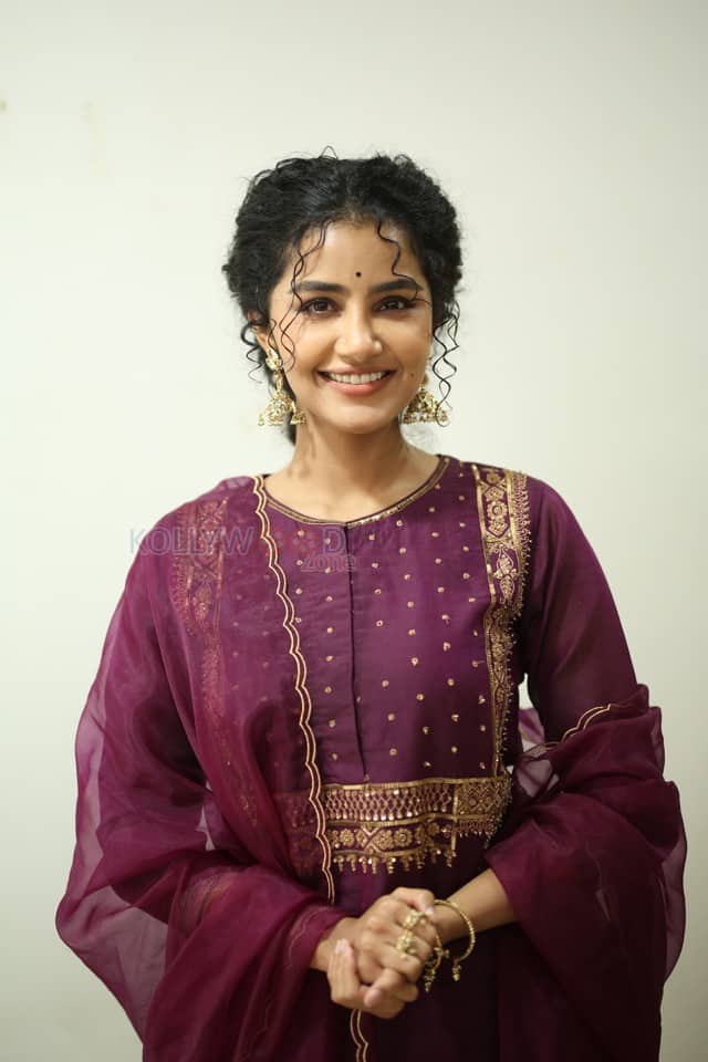 Actress Anupama Parameswaran at Paradha Press Meet Pictures 35