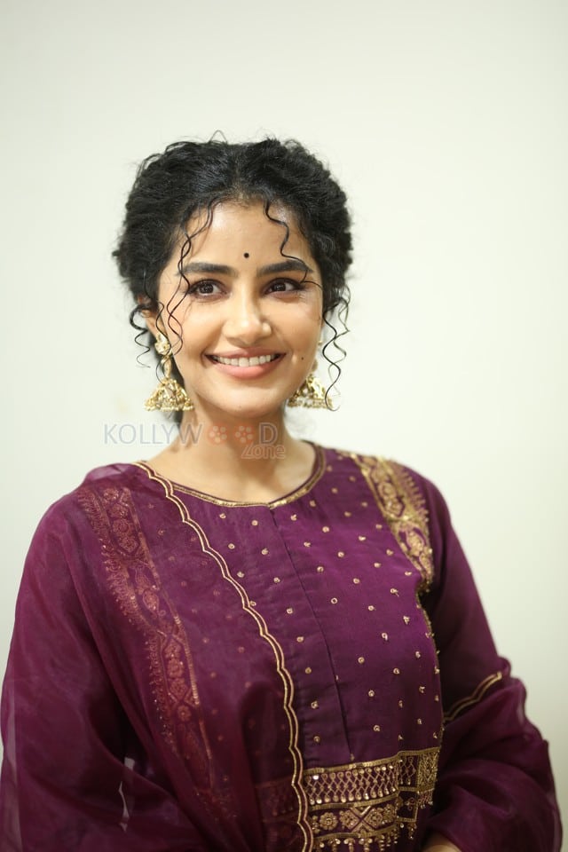 Actress Anupama Parameswaran at Paradha Press Meet Pictures 36