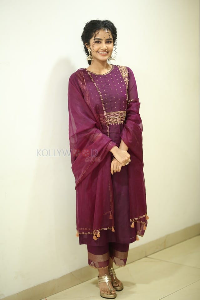 Actress Anupama Parameswaran at Paradha Press Meet Pictures 37