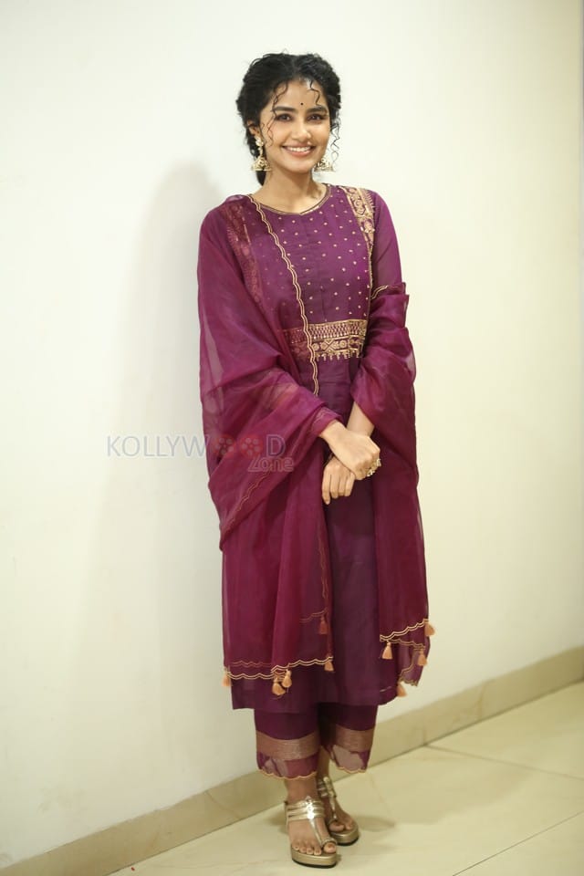 Actress Anupama Parameswaran at Paradha Press Meet Pictures 38