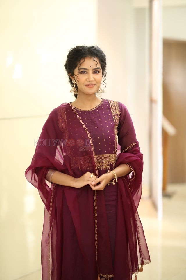Actress Anupama Parameswaran at Paradha Press Meet Pictures 42