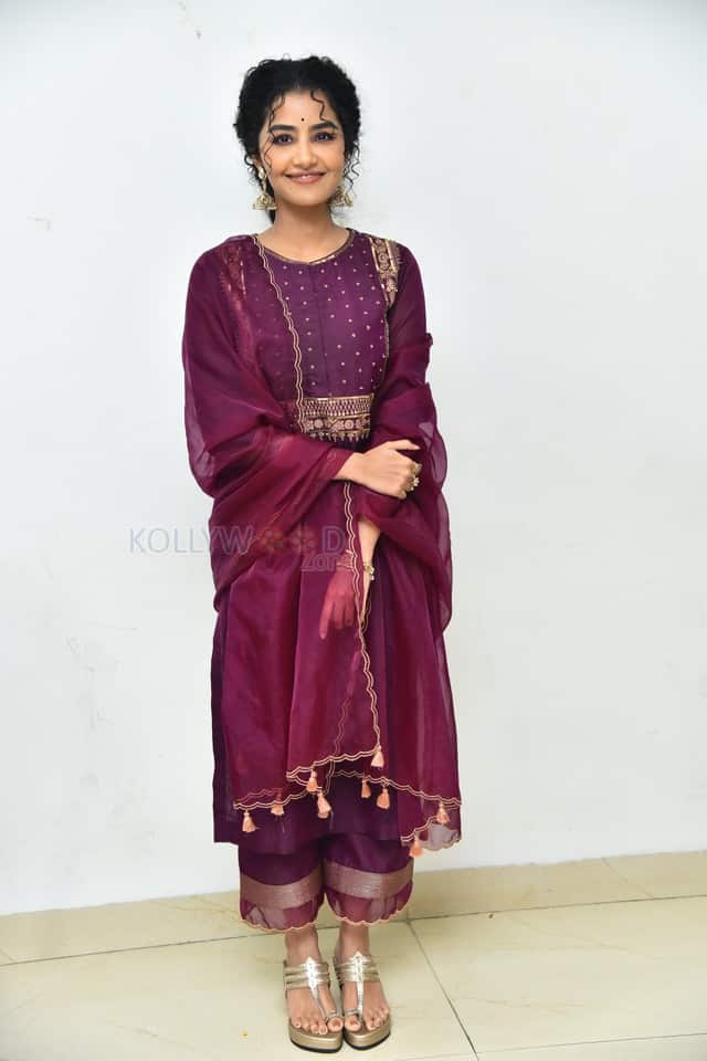 Actress Anupama Parameswaran at Paradha Press Meet Pictures 44