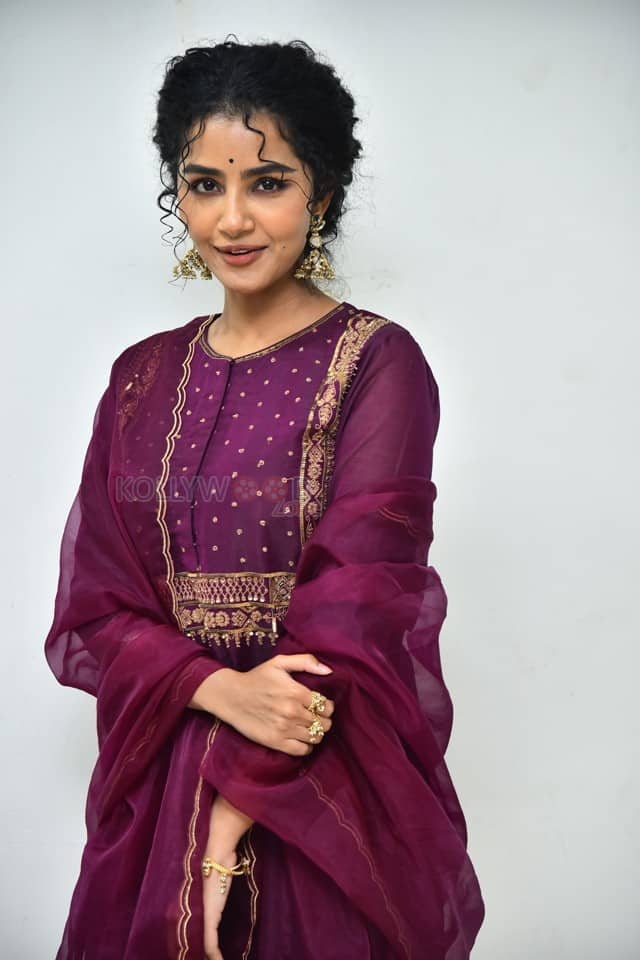 Actress Anupama Parameswaran at Paradha Press Meet Pictures 46