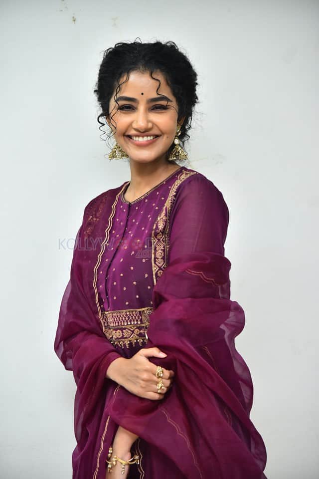 Actress Anupama Parameswaran at Paradha Press Meet Pictures 47