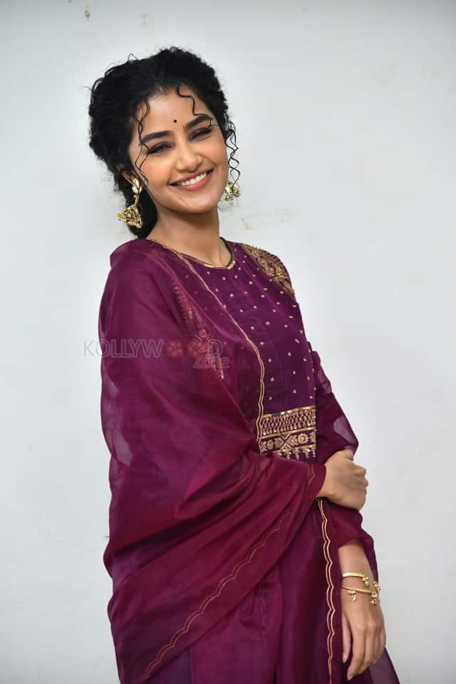 Actress Anupama Parameswaran at Paradha Press Meet Pictures 48