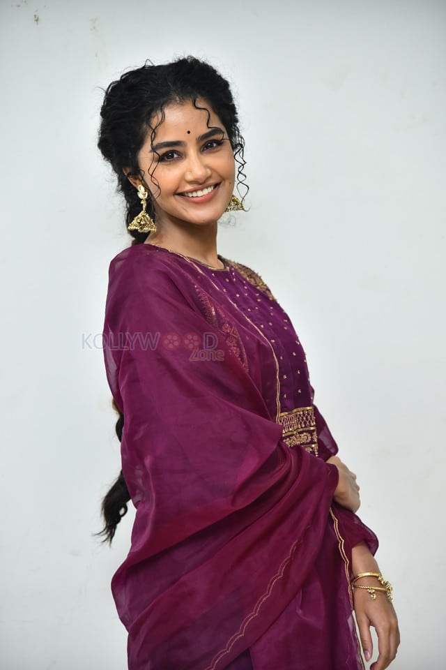 Actress Anupama Parameswaran at Paradha Press Meet Pictures 49