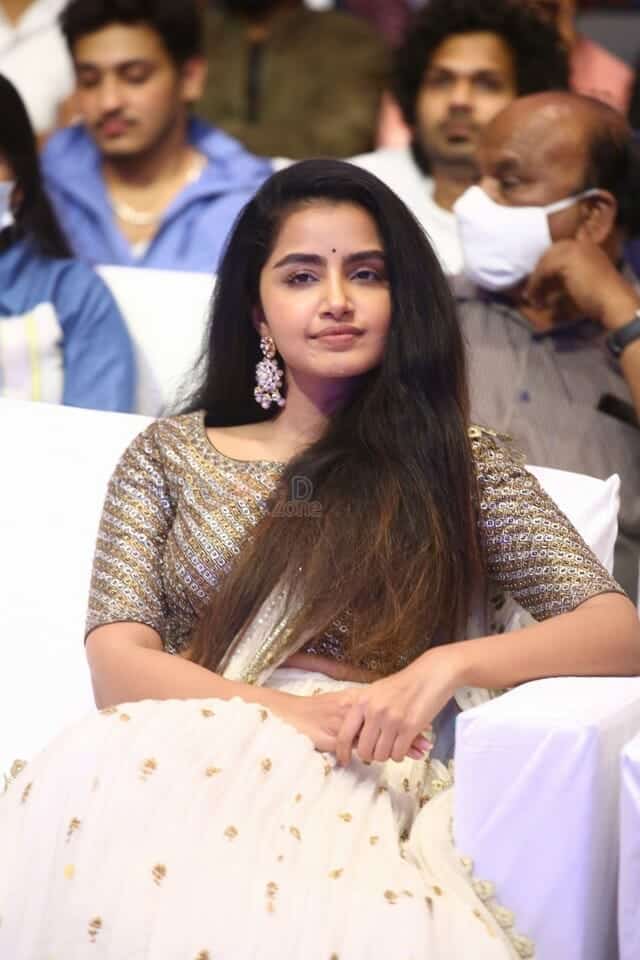 Actress Anupama Parameswaran at Rowdy Boys Movie Musical Event Photos 07