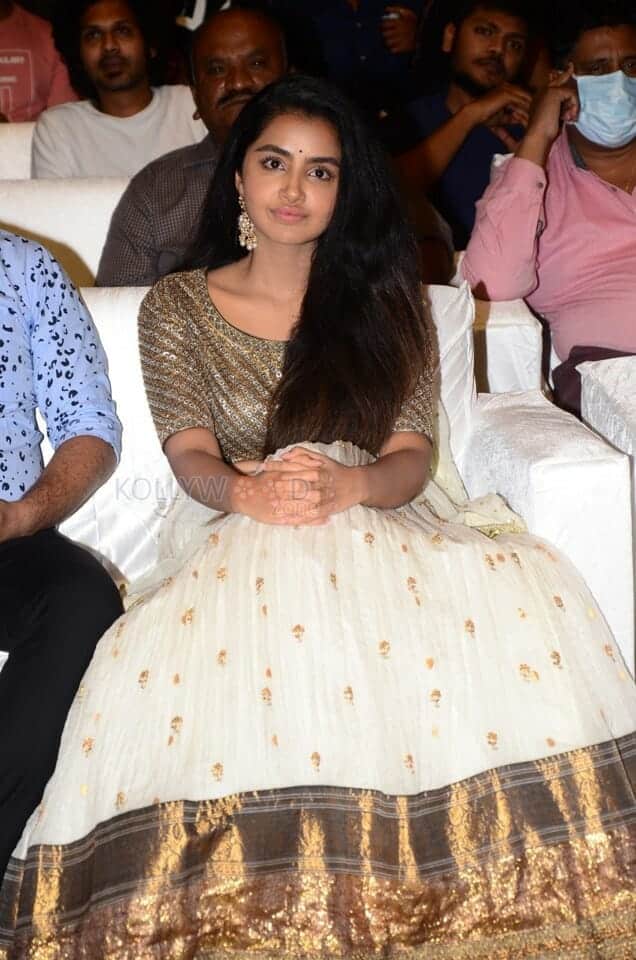 Actress Anupama Parameswaran at Rowdy Boys Movie Musical Event Photos 08