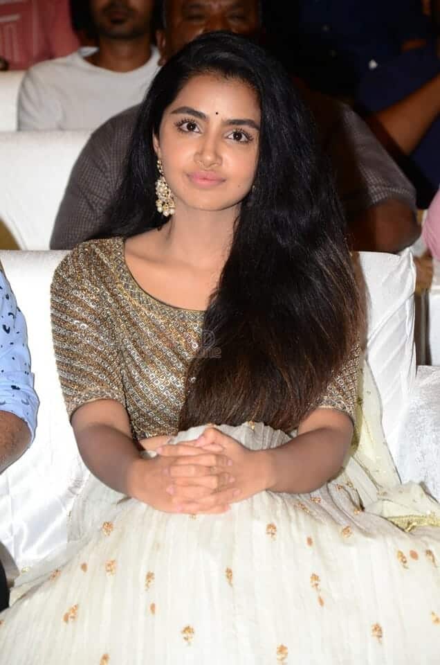 Actress Anupama Parameswaran at Rowdy Boys Movie Musical Event Photos 09