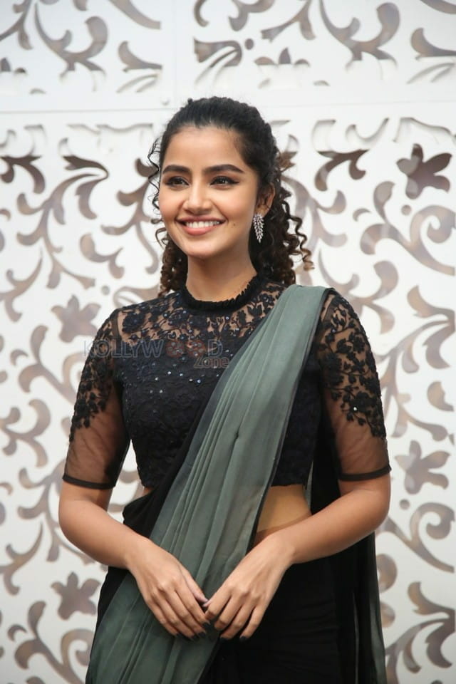 Actress Anupama Parameswaran at Rowdy Boys Movie Song Launch Photos 15