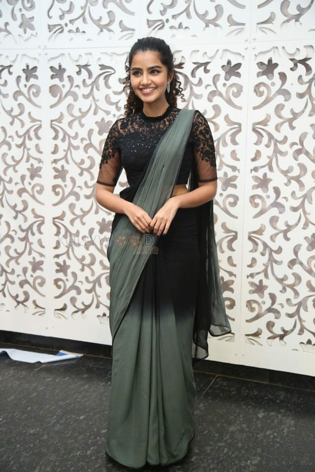 Actress Anupama Parameswaran at Rowdy Boys Movie Song Launch Photos 17