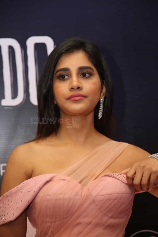 Actress Nabha Natesh At Dadasaheb Phalke Awards South Photos