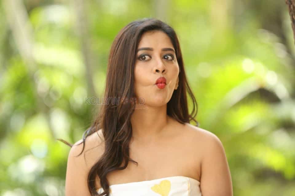 Actress Nabha Natesh At Nannu Dochukunduvate Thank You Meet Photos