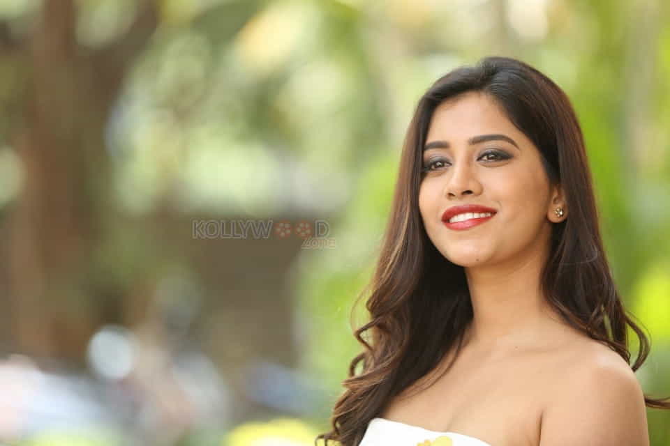 Actress Nabha Natesh At Nannu Dochukunduvate Thank You Meet Photos