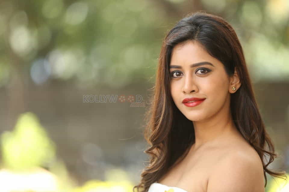 Actress Nabha Natesh At Nannu Dochukunduvate Thank You Meet Photos