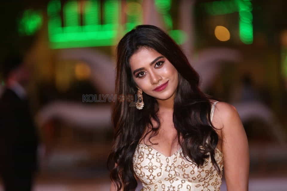 Actress Nabha Natesh From Siima Event In Dubai Photos