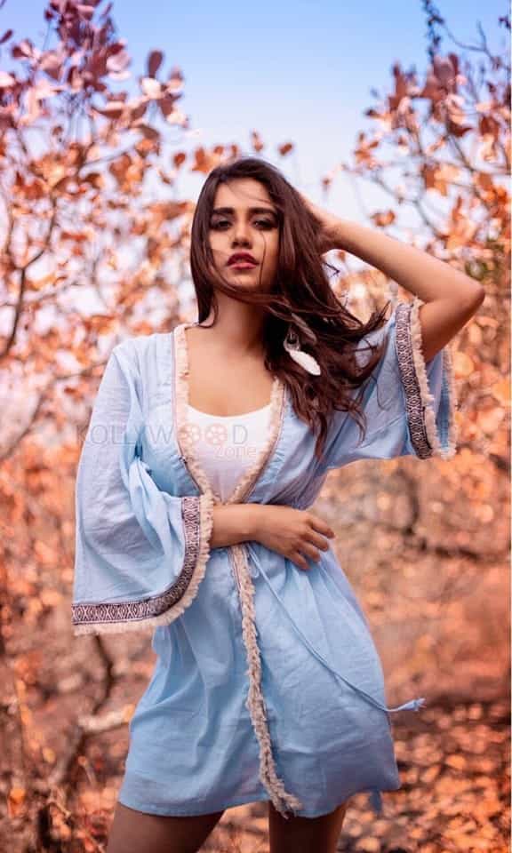 Actress Nabha Natesh Glamour Photos
