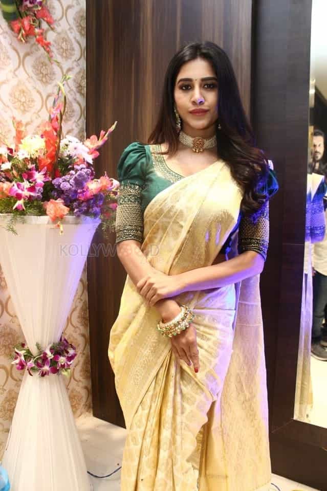 Actress Nabha Natesh Launches Sri Kanchi Alankar Silks At Saroornagar Photos