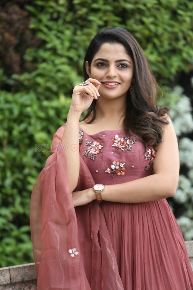 Actress Nikhila Vimal At Donga Movie Interview Photos