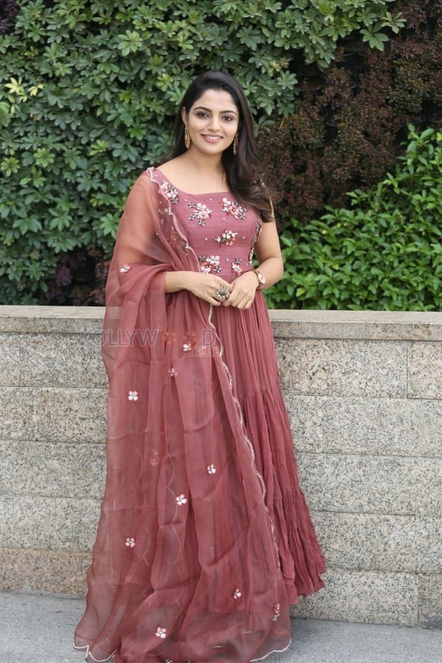 Actress Nikhila Vimal At Donga Movie Interview Photos