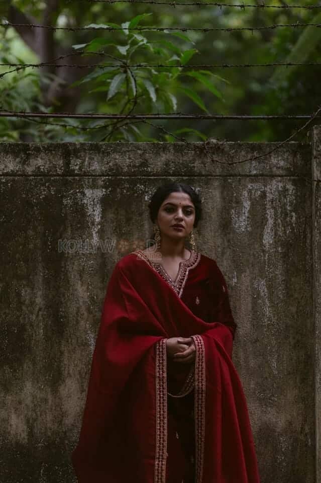 Actress Nikhila Vimal in a Red Embroidered Sharara Photos 04