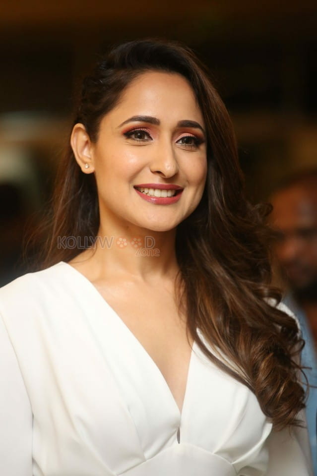 Actress Pragya Jaiswal At Telugu Cine Rathasarathula Rajotsvam Curtain Raiser Photos