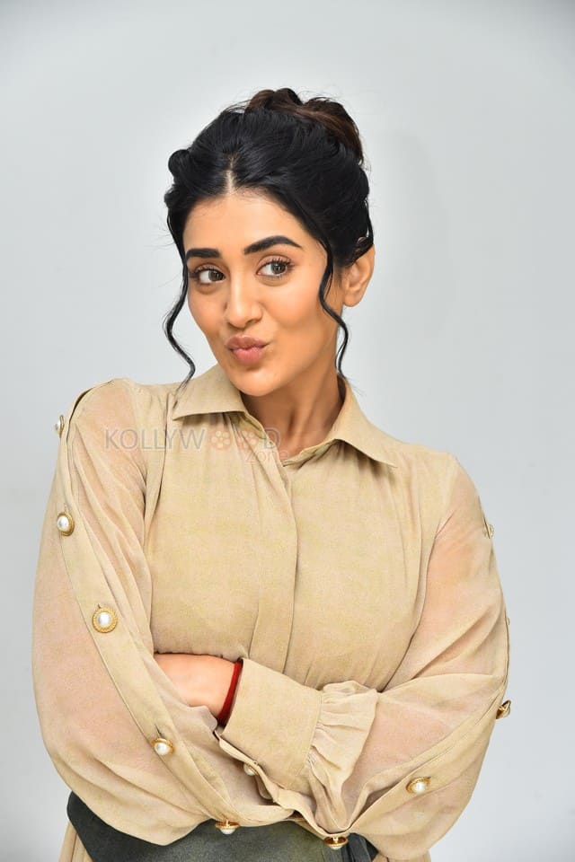 Actress Rashi Singh at PanchMinar Movie Success Meet Photos 13