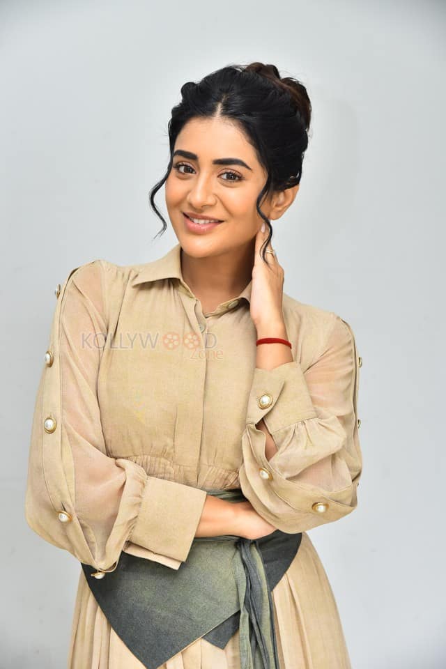 Actress Rashi Singh at PanchMinar Movie Success Meet Photos 14