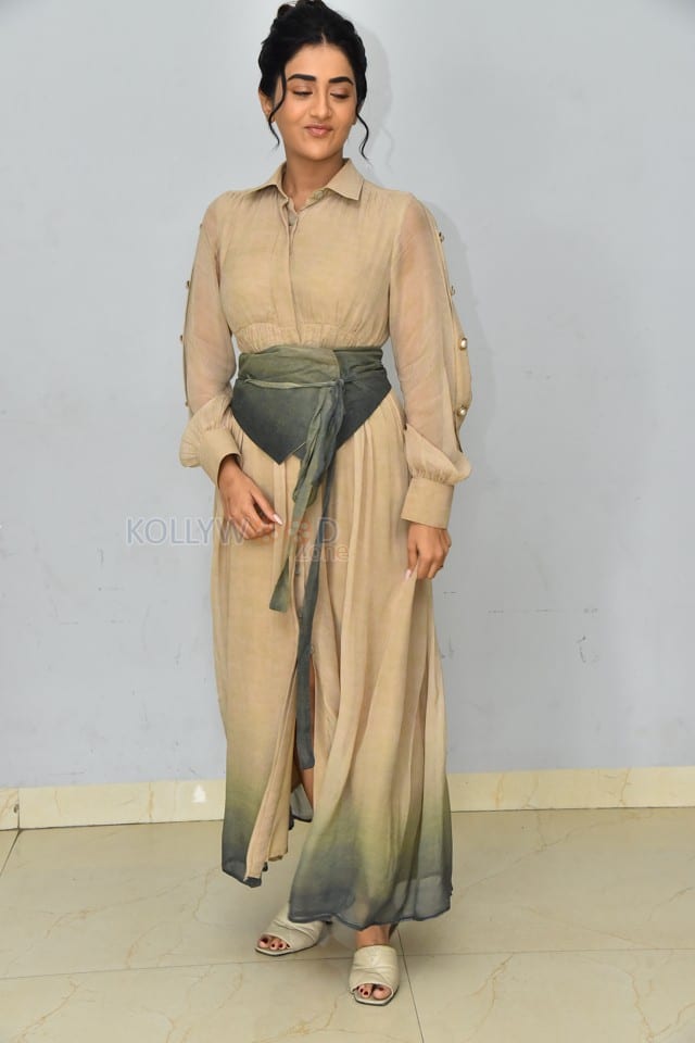 Actress Rashi Singh at PanchMinar Movie Success Meet Photos 20