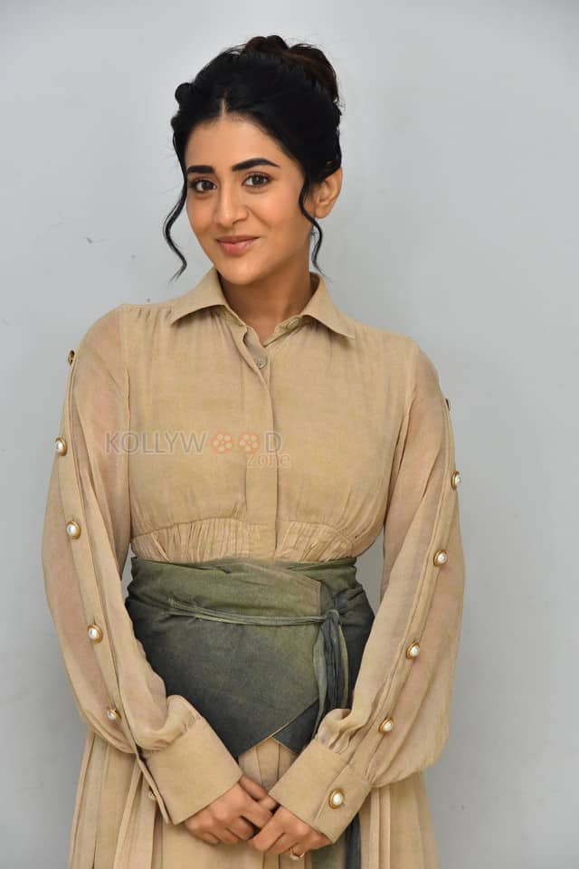 Actress Rashi Singh at PanchMinar Movie Success Meet Photos 22