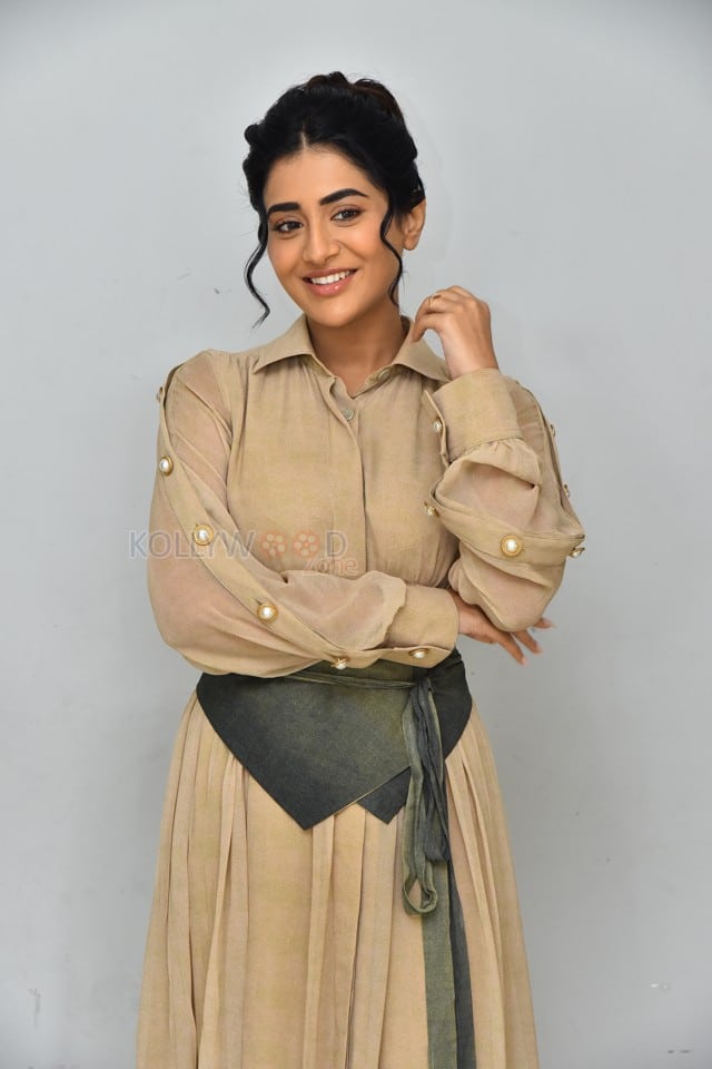 Actress Rashi Singh at PanchMinar Movie Success Meet Photos 25