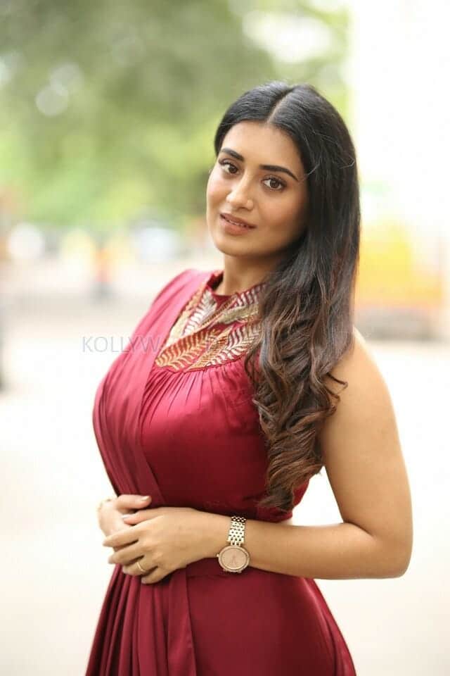 Actress Rashi Singh at Papam Pasivadu Web Series Trailer Launch Photos 01