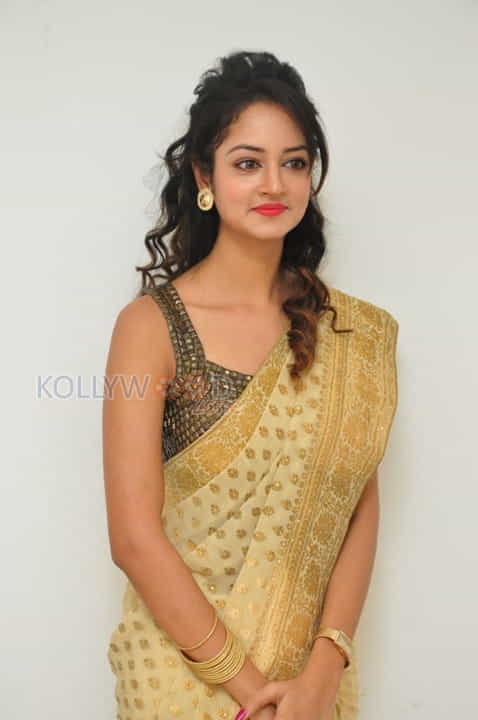 Actress Shanvi In Saree Photoshoot Pictures