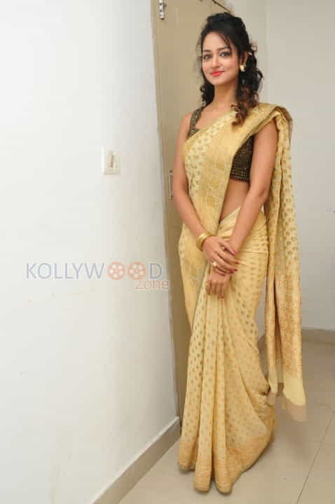 Actress Shanvi In Saree Photoshoot Pictures