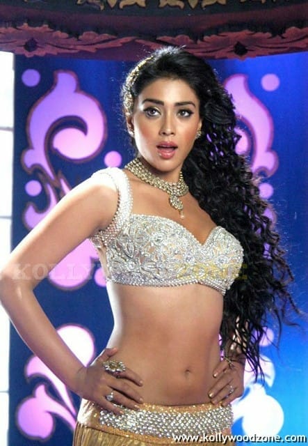 Actress Shriya Saran Hot Cleavage Pictures