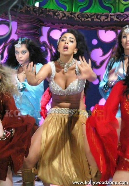 Actress Shriya Saran Hot Cleavage Pictures