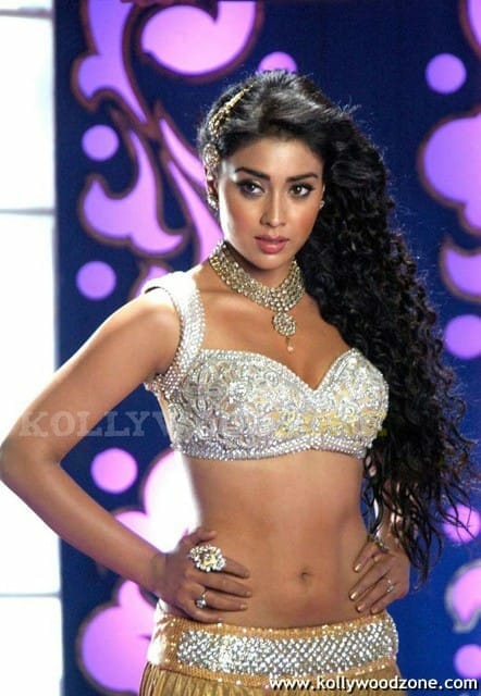 Actress Shriya Saran Hot Cleavage Pictures