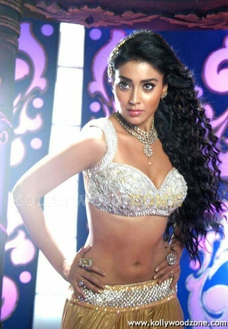 Actress Shriya Saran Hot Cleavage Pictures