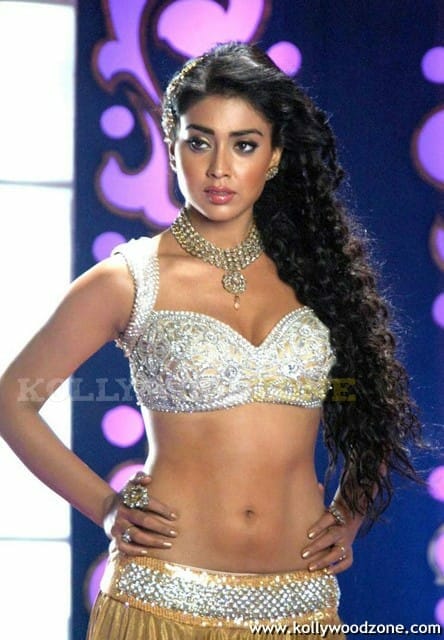 Actress Shriya Saran Hot Cleavage Pictures