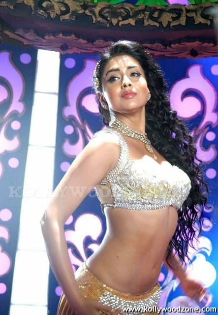 Actress Shriya Saran Hot Cleavage Pictures