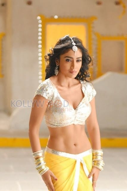 Actress Shriya Saran Hot Navel Cleavage Dance Pictures