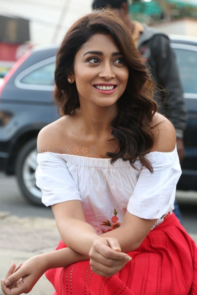 Actress Shriya Saran Interview Photos