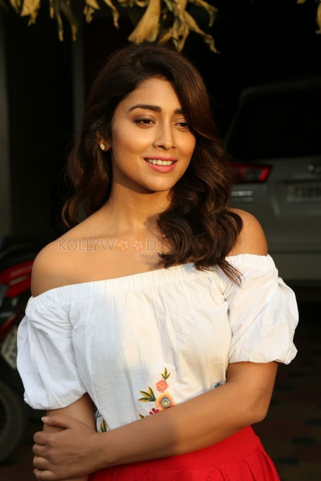 Actress Shriya Saran Interview Photos