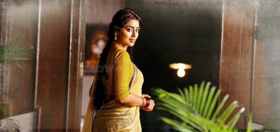 Actress Shriya Saran New Photoshoot Pictures
