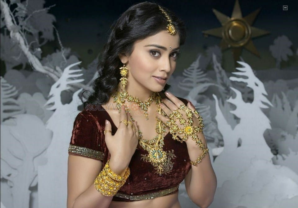 Actress Shriya Saran New Photoshoot Pictures