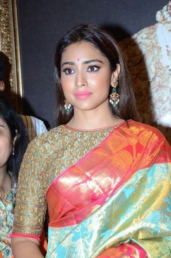 Actress Shriya Saran New Saree Photos