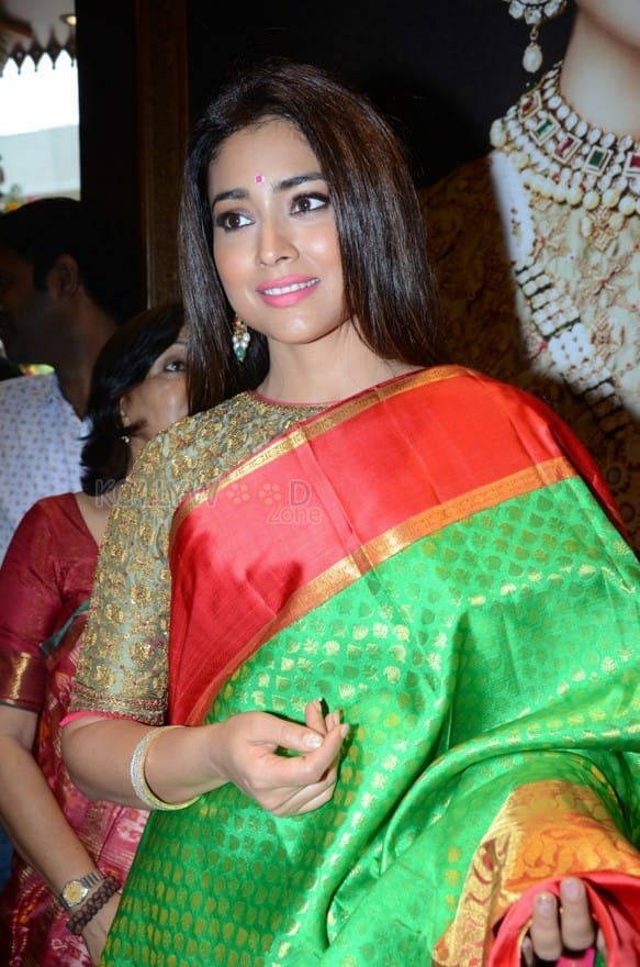 Actress Shriya Saran New Saree Photos